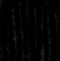 Wapsi Rayon Chenille Medium