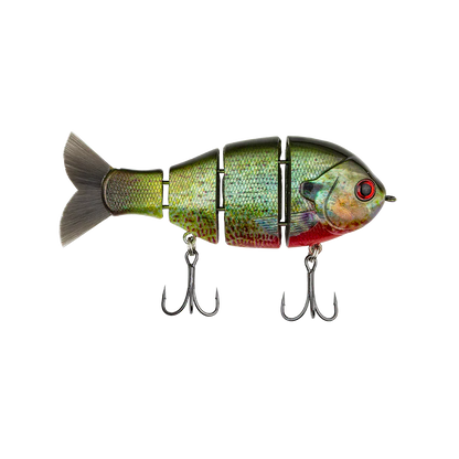 Bucca Baby Bull Gill