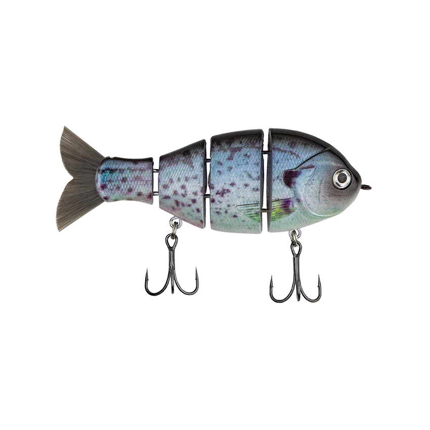 Bucca Baby Bull Gill