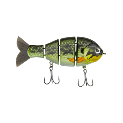 Bucca Baby Bull Gill