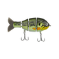 Bucca Baby Bull Gill