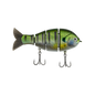 Bucca Baby Bull Gill