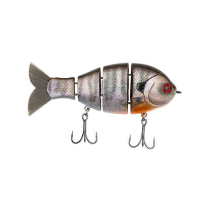 Bucca Baby Bull Gill