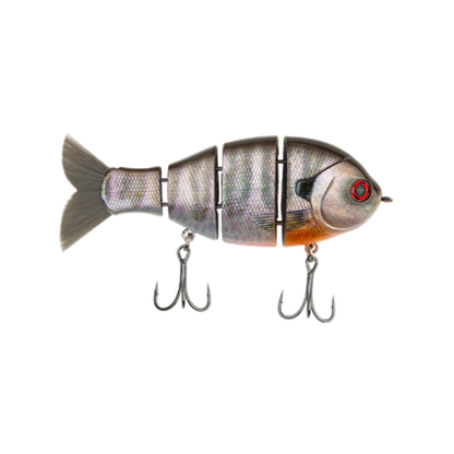 Bucca Baby Bull Gill
