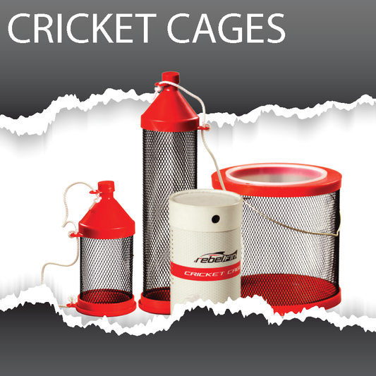 RebelFin Cricket Cages