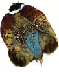 Wapsi Ringneck Pheasant
