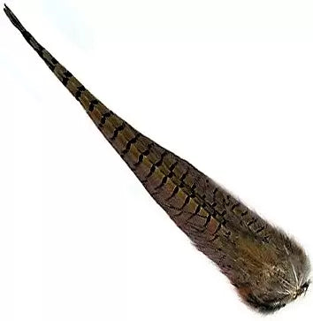 Wapsi Ringneck Pheasant