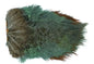 Wapsi Ringneck Pheasant