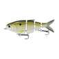 FishLab BBZ Bio Shad Gizzard