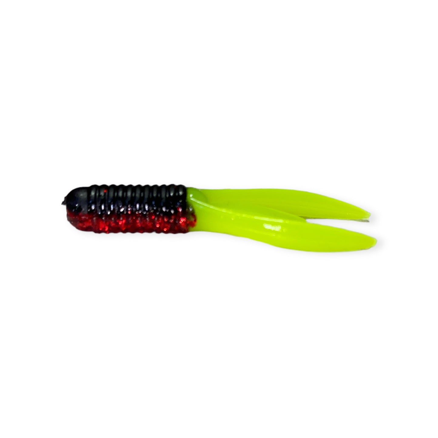 Bonehead Stump Bug (CO)