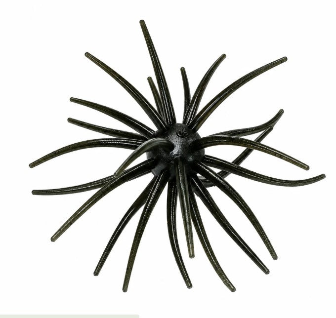 Head Hunter Spider Monkey