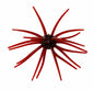 Head Hunter Spider Monkey