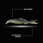 On The Hook Mag Minnow