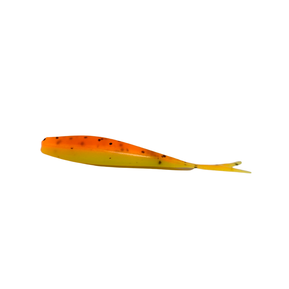 Bonehead Minnow (CO)