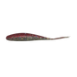 Bonehead Minnow (CO)