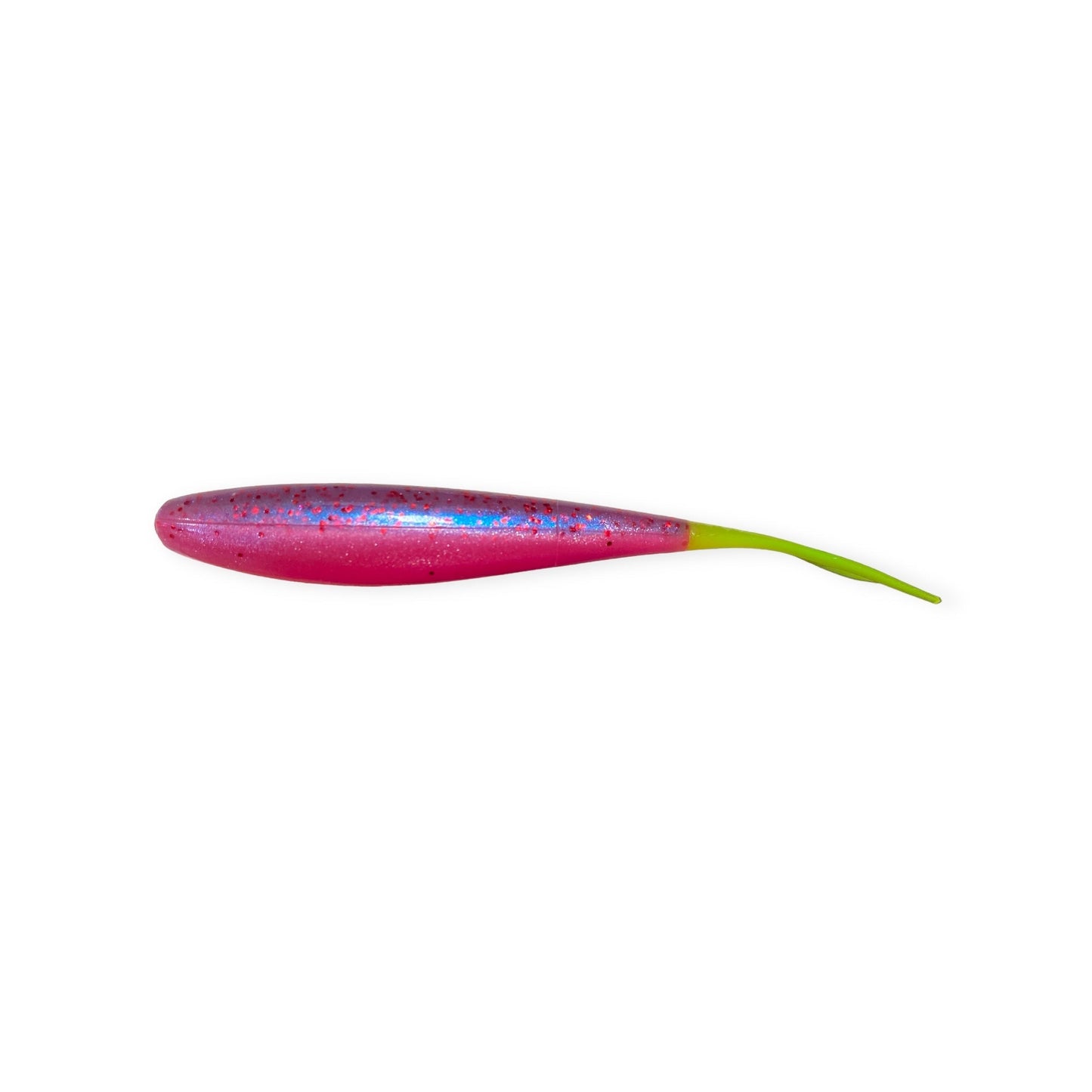 Bonehead Minnow (CO)