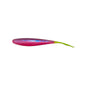 Bonehead Minnow (CO)