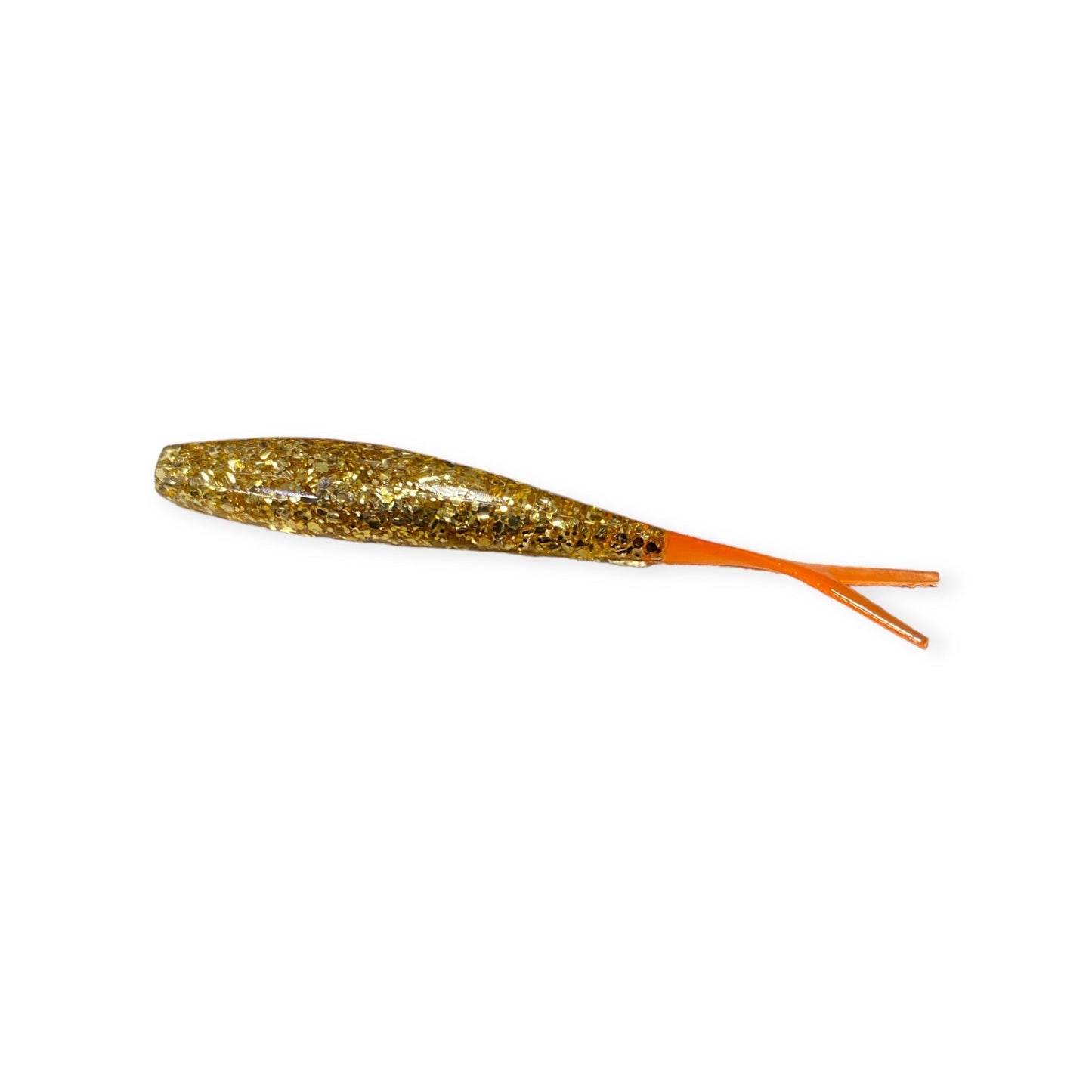 Bonehead Minnow (CO)