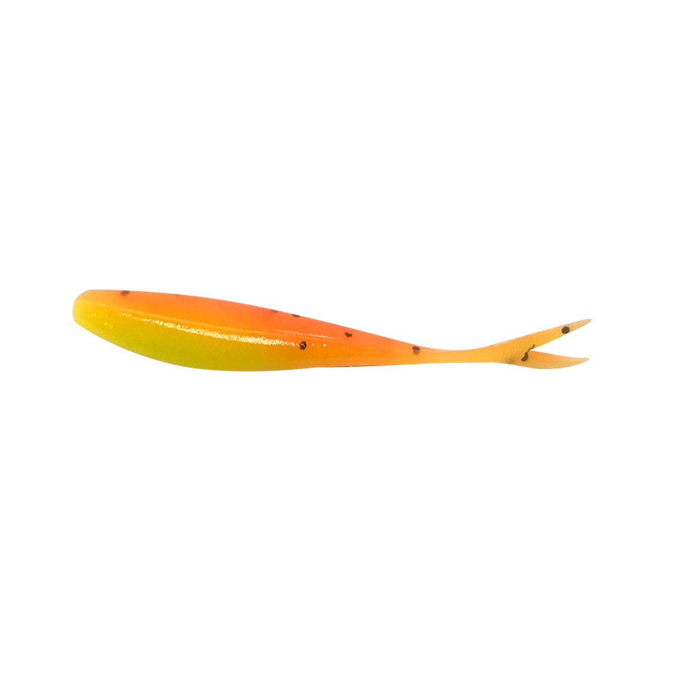 Bonehead Minnow (CO)