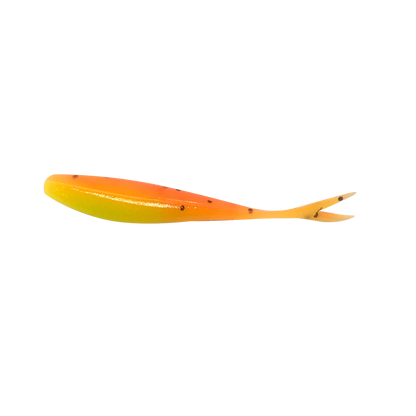 Bonehead Minnow (CO)