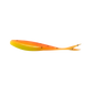Bonehead Minnow (CO)