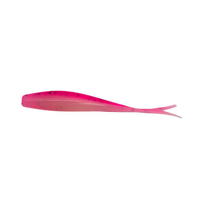 Bonehead Minnow (CO)