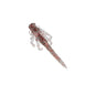 FishLab Nature Series Flutter Nymph Closeout
