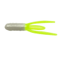 Bonehead Stump Bug