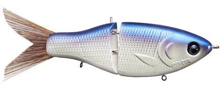 Clutch Swimbait Co. Eco Glide Bait