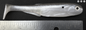 Big Joshy Swimbaits J5 Premium Baitfish