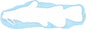 Vinyl Decals