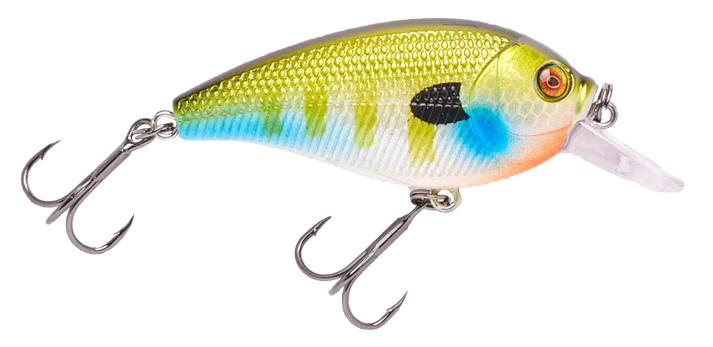 Vicious SC70 Shallow Diver