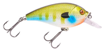 Vicious SC70 Shallow Diver