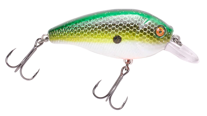 Vicious SC70 Shallow Diver