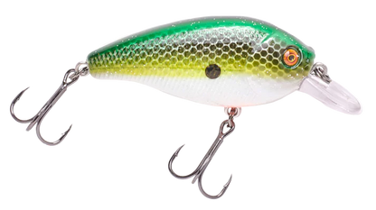Vicious SC70 Shallow Diver