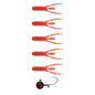 Bonehead Stump Bug Snack Pack