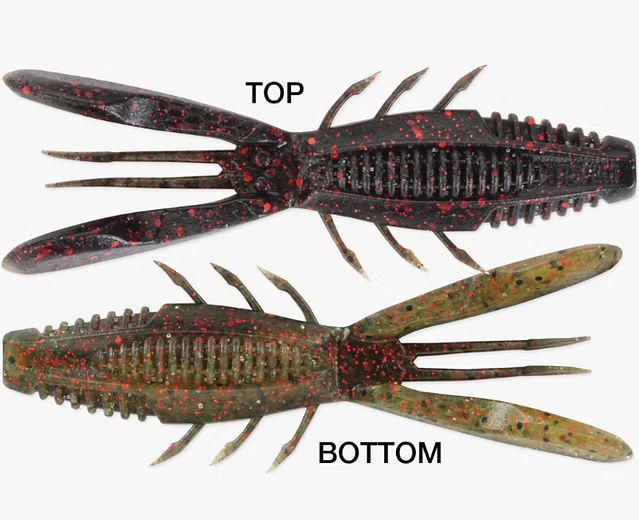 Rapala Crush City Bronco Bug