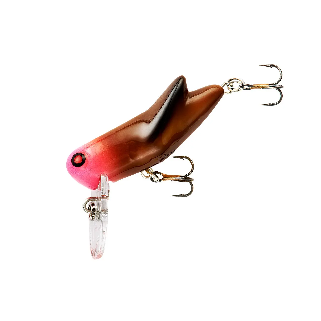 Rebel Crickhopper