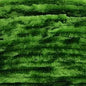 Wapsi Rayon Chenille Medium