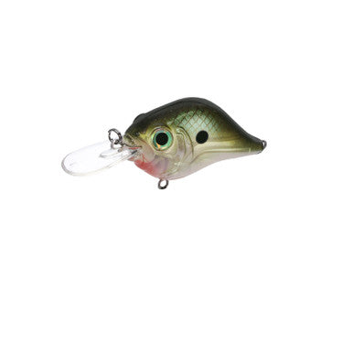 Bill Lewis MR-6 Mark Daniel's Jr Signature Lures
