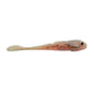 Big Joshy Swimbaits Goby