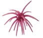 TKO Killer Bait's Okie Urchin
