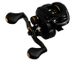 Lew's Tournament Pro Baitcast Reel