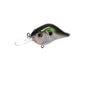 Bill Lewis MR-6 Mark Daniel's Jr Signature Lures