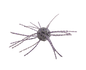 Strike King Tumbleweed Floating