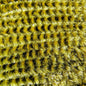 Wapsi Variegated Chenille