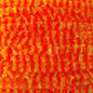 Wapsi Variegated Chenille
