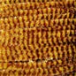 Wapsi Variegated Chenille