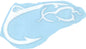 Vinyl Decals