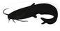 Vinyl Decals